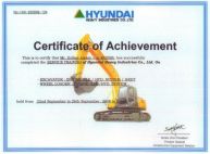 Сертификат Грибова Алексея - Hyundai