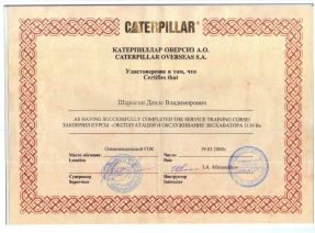 Сертификат Шарыгина Дениса - Caterpillar