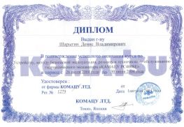 Сертификат Шарыгина Дениса - Camatsu