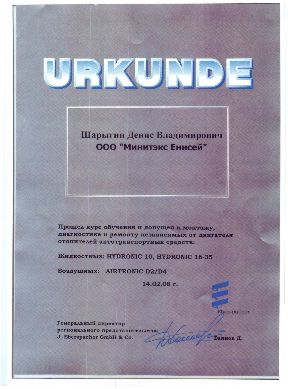 Сертификат Шарыгина Дениса - Urkunde